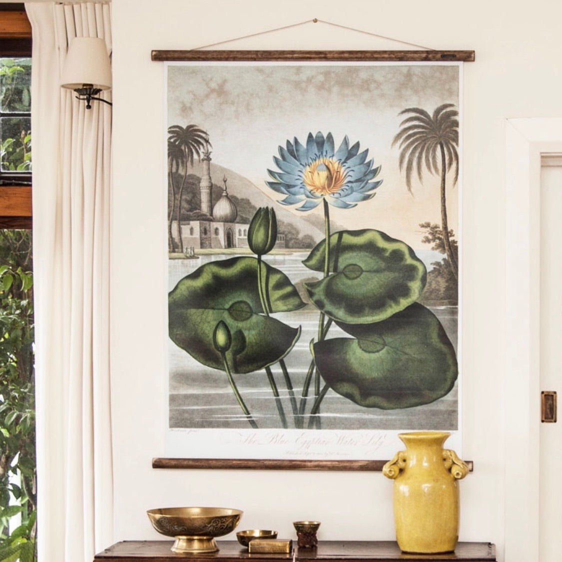 The Water Lily chart hanging on the wall in a living environment