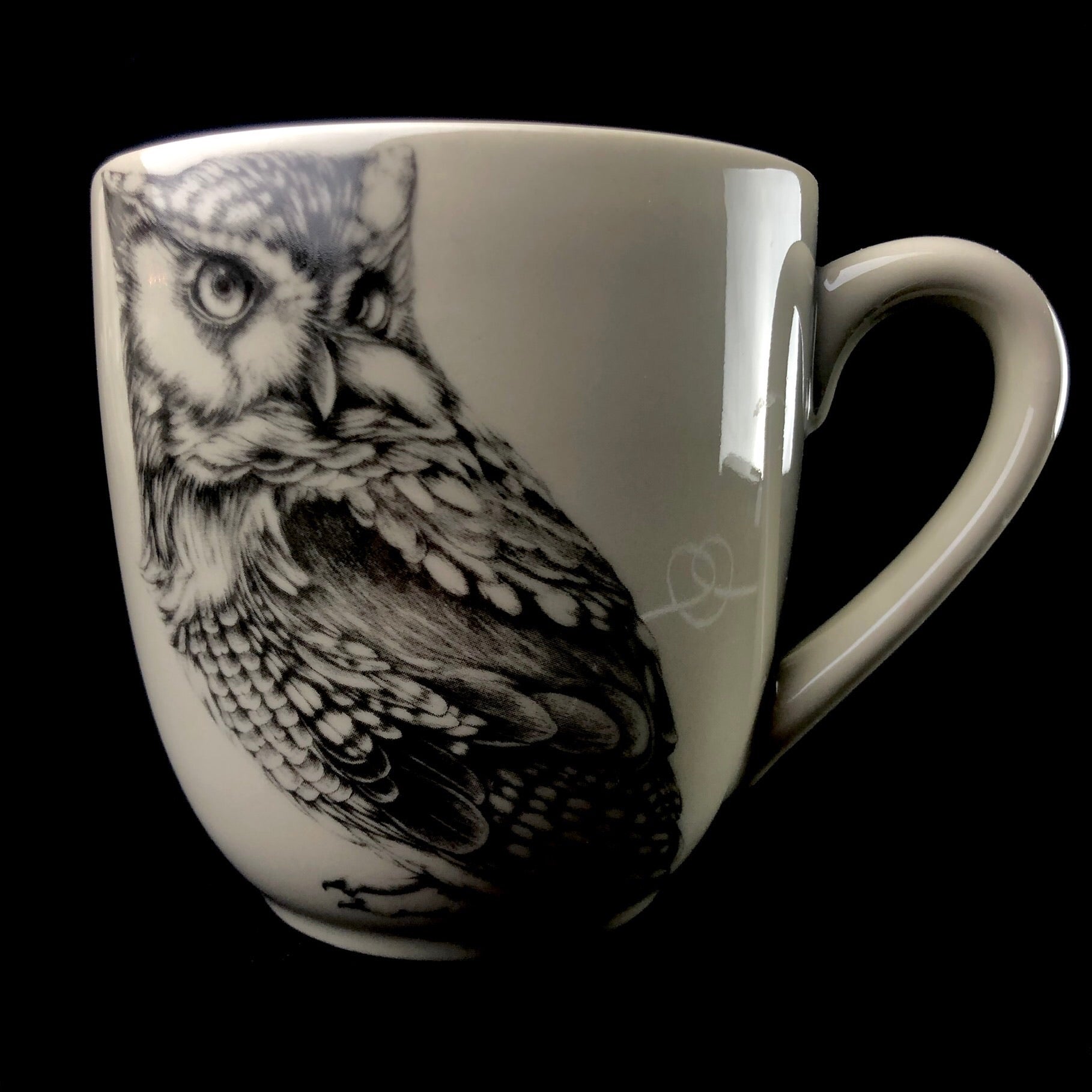 Front view of Owl Mug