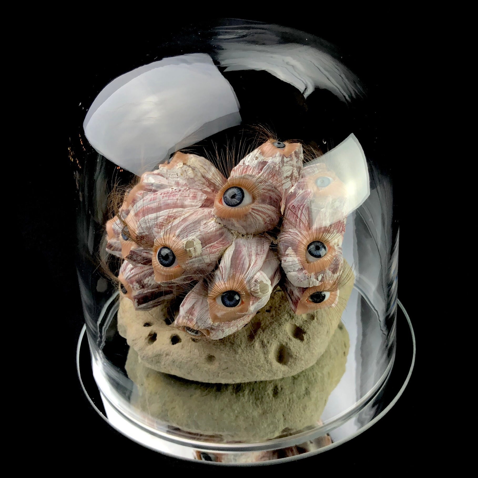 Side view of Curious Barnacle sculpture with glass dome and mirrored coaster