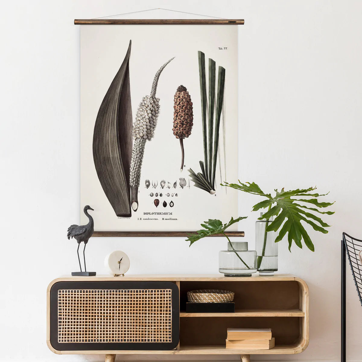 Diplothemium Wall Chart shown hanging in a living environment