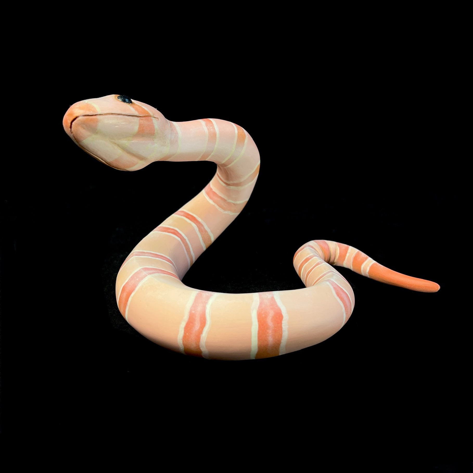 Bottom view of snake showing head detail and standing depth 