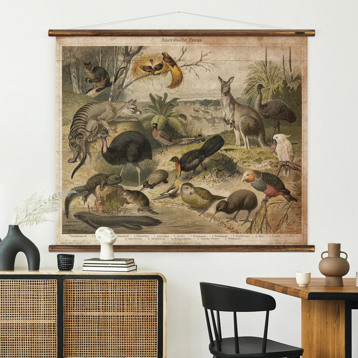 Australian Fauna Wall Chart in living environment