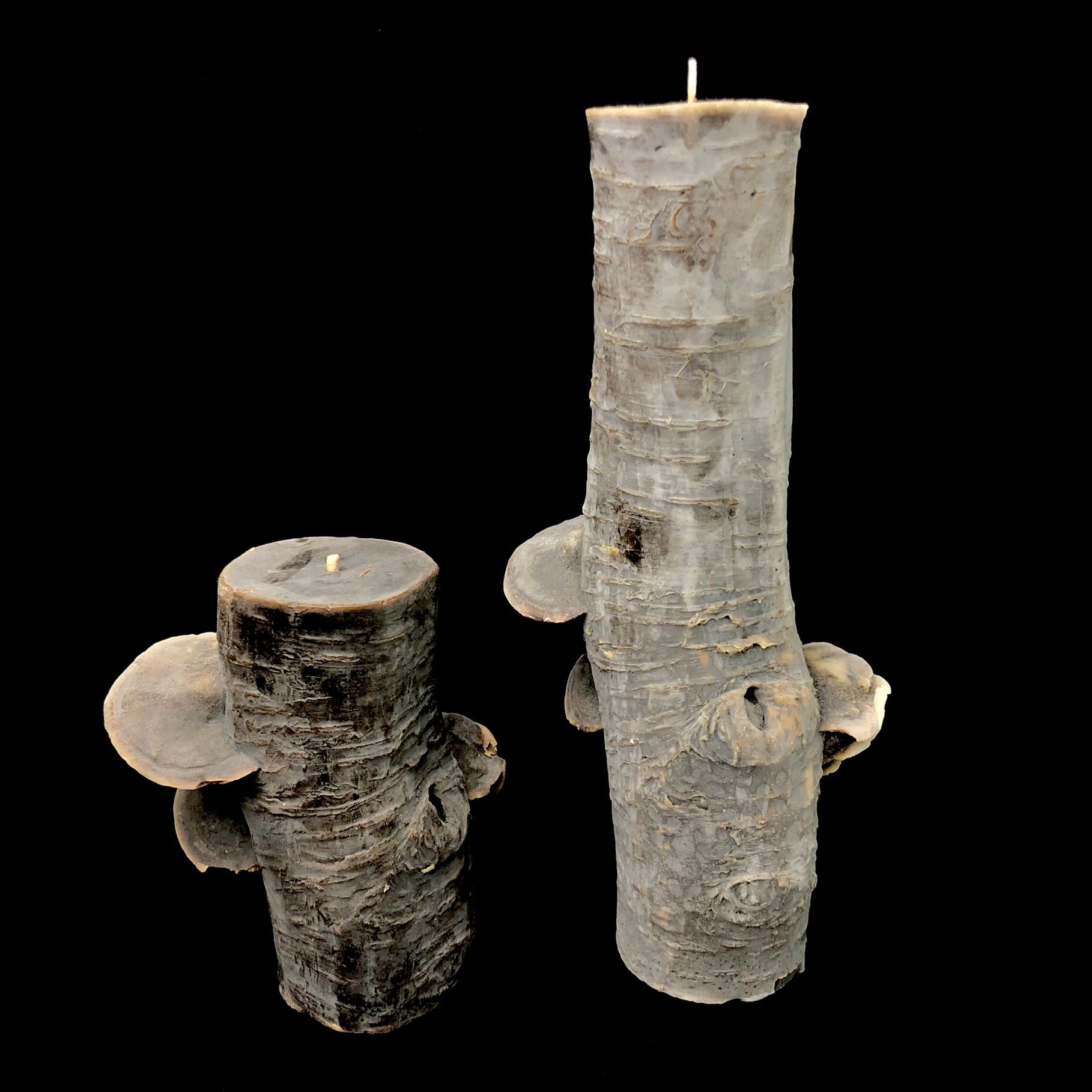 Beeswax Tree Candle shown nest to smaller design option