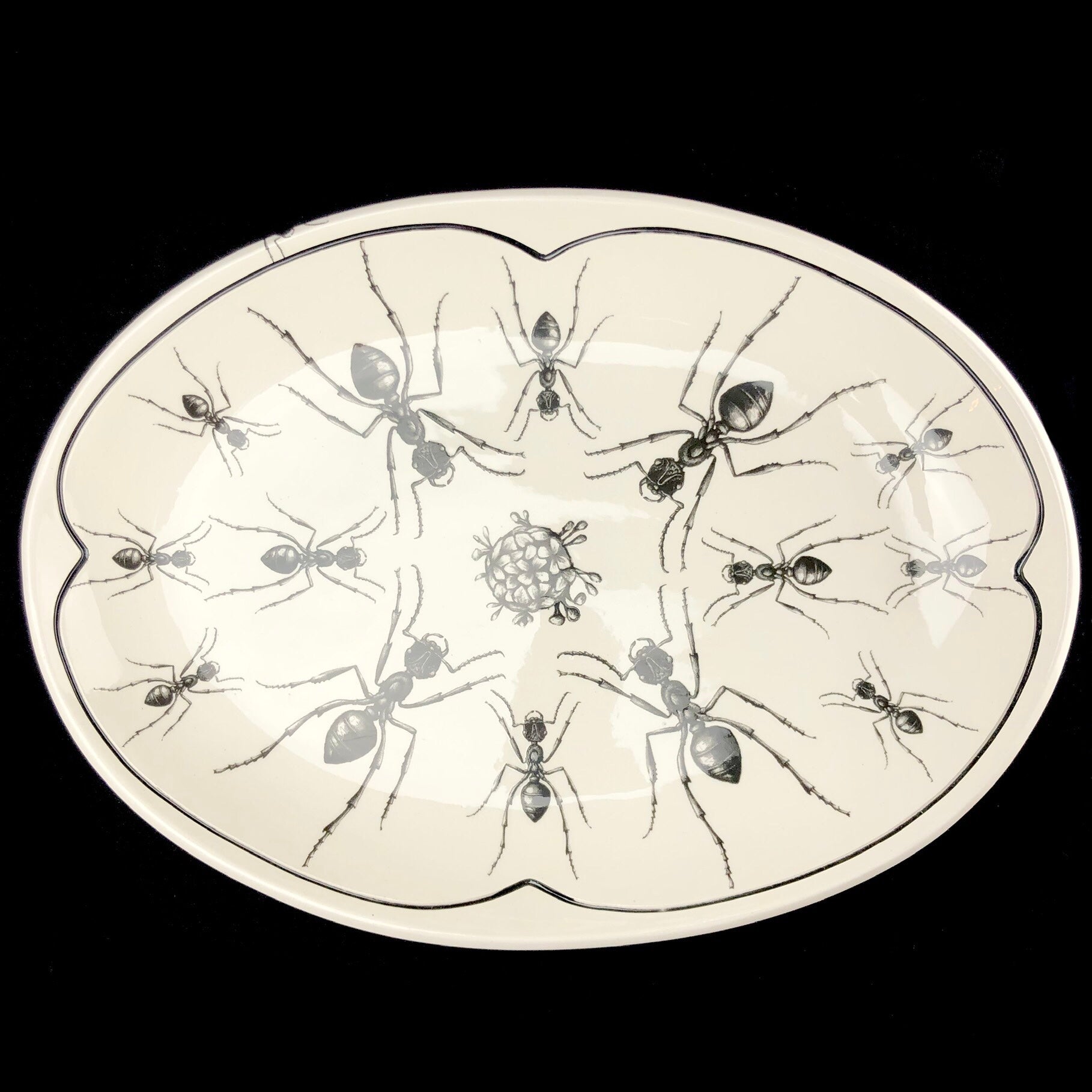 Front view Serving Platter with Ant Pattern