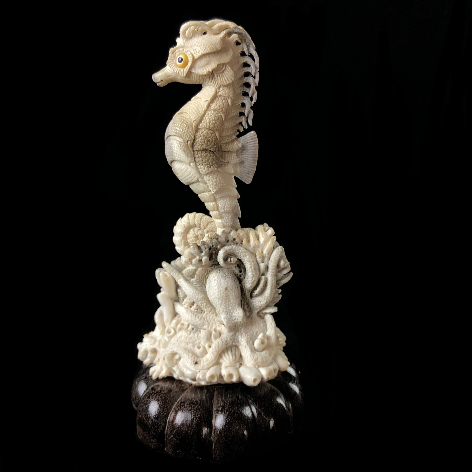 Side view of Seahorse Carving 