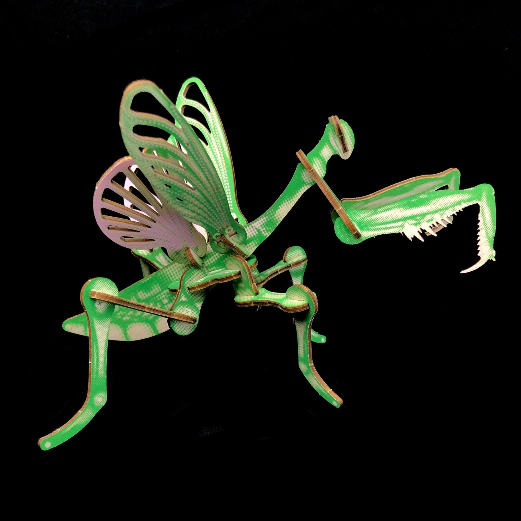 Mantis Puzzle Model