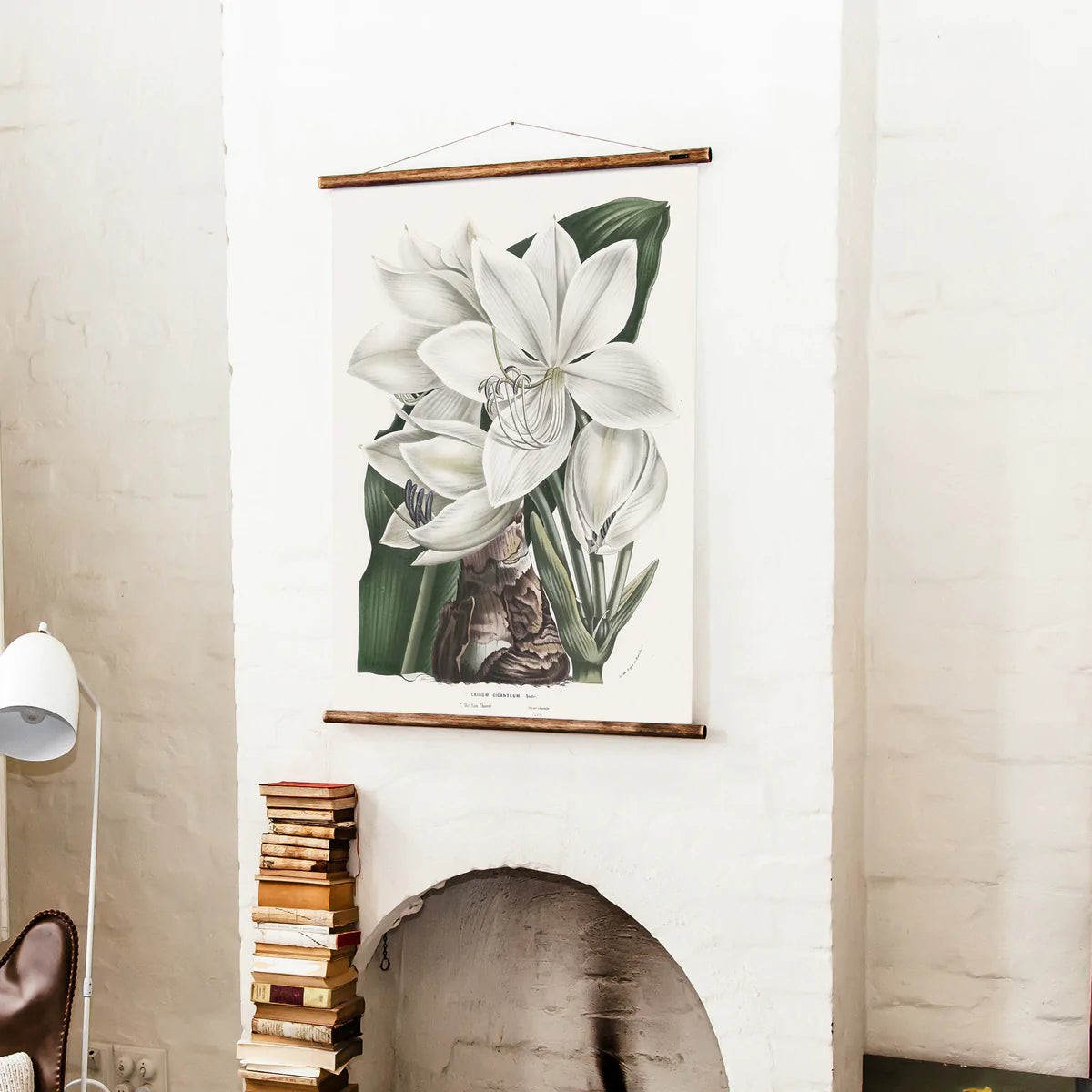 Crinum Gigantium Wall Chart shown hanging in a living environment 