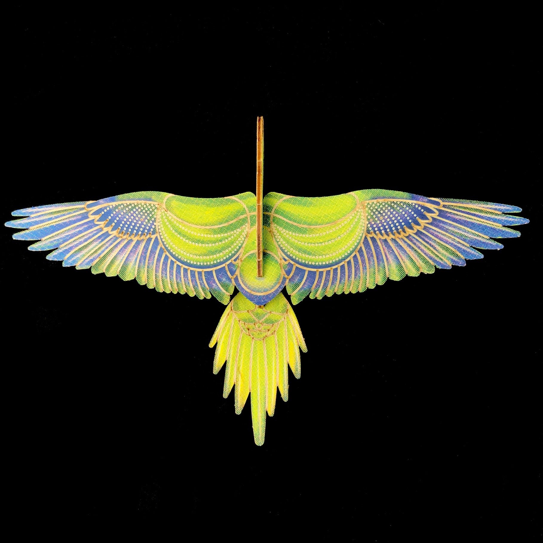 Monk Parakeet Puzzle