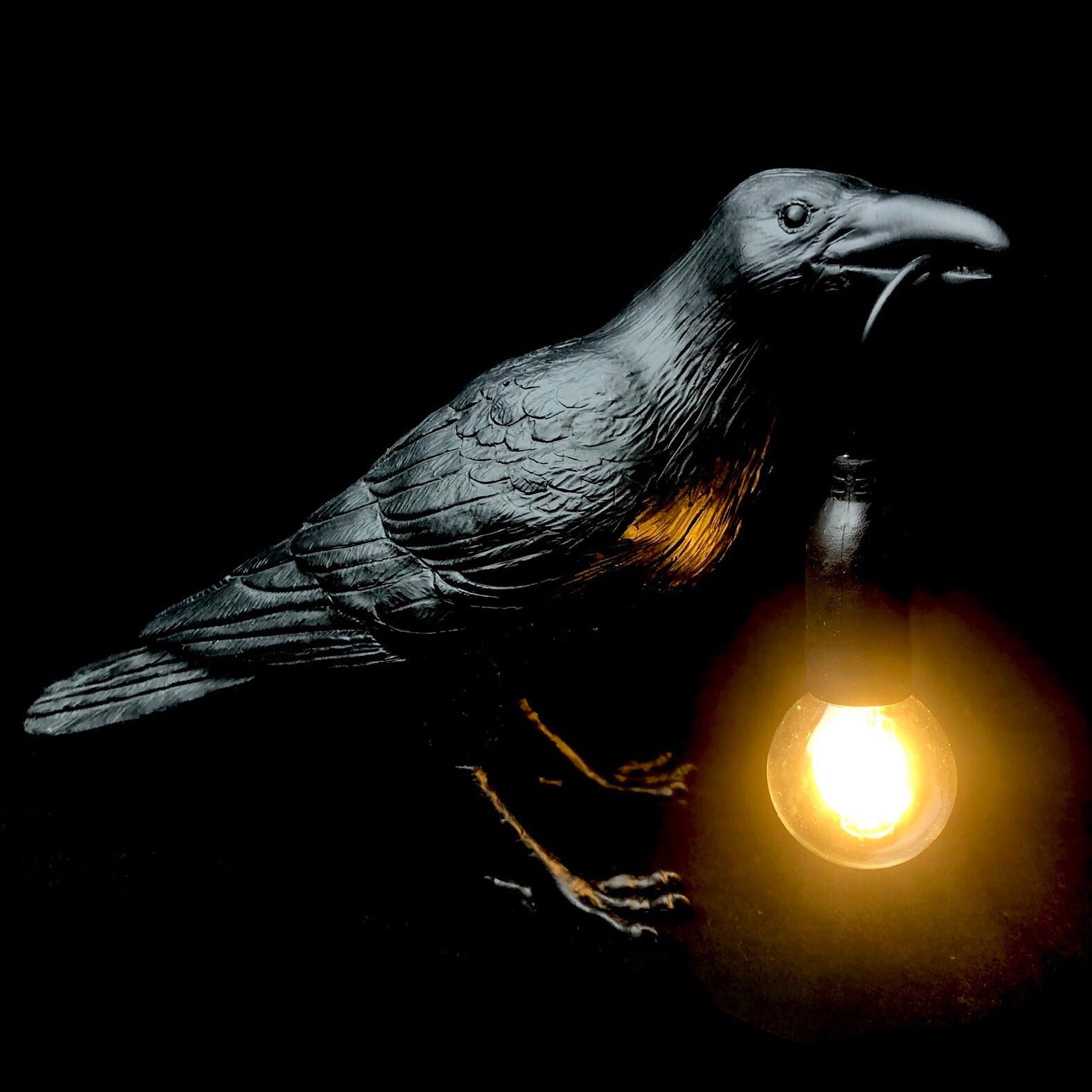 Side view of Raven Lamp