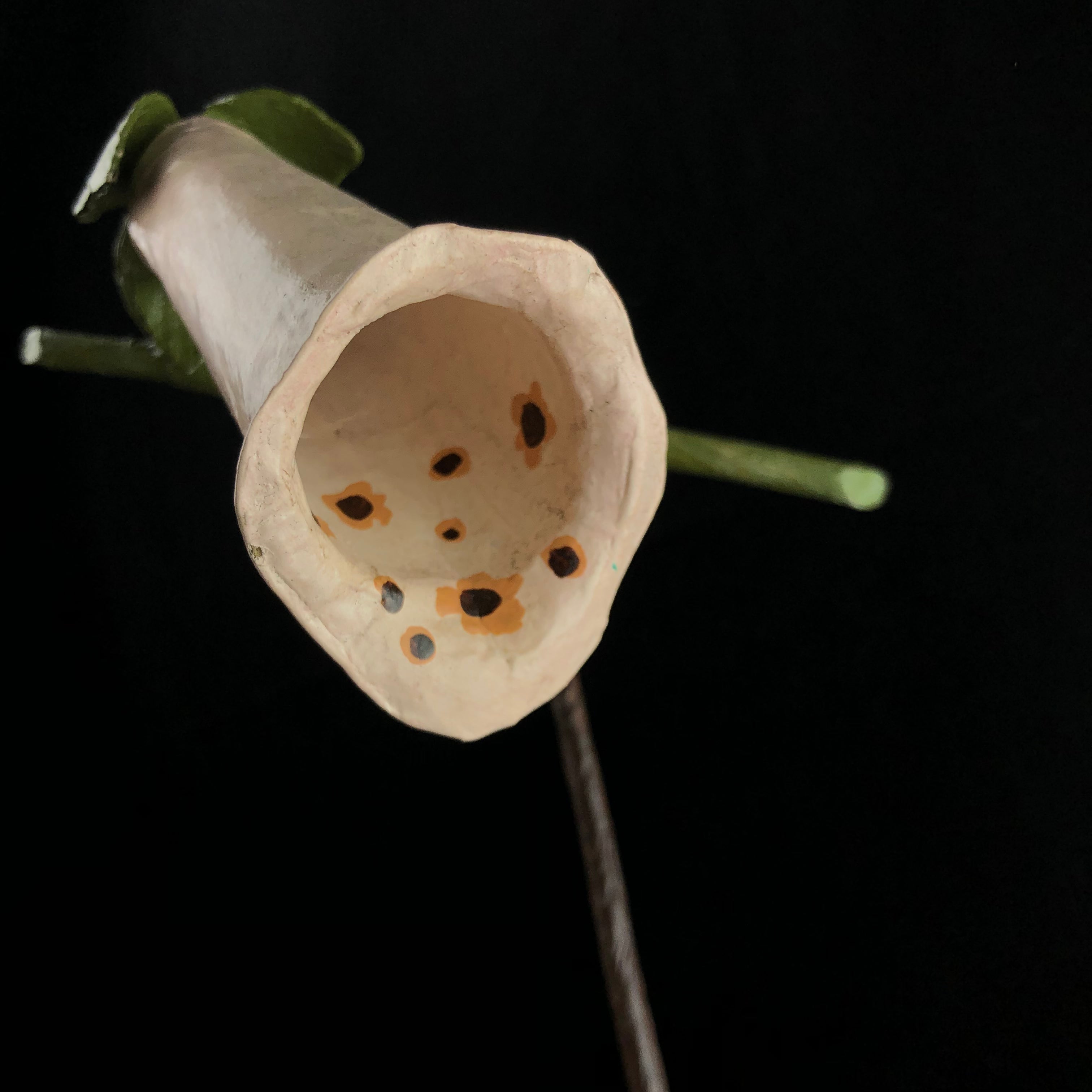 Detail view of Foxglove Flower Study Model