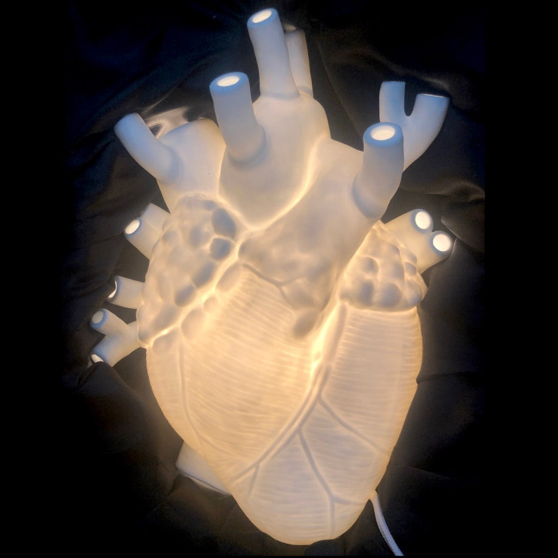 Front view of Anatomical Heart Lamp illuminated 