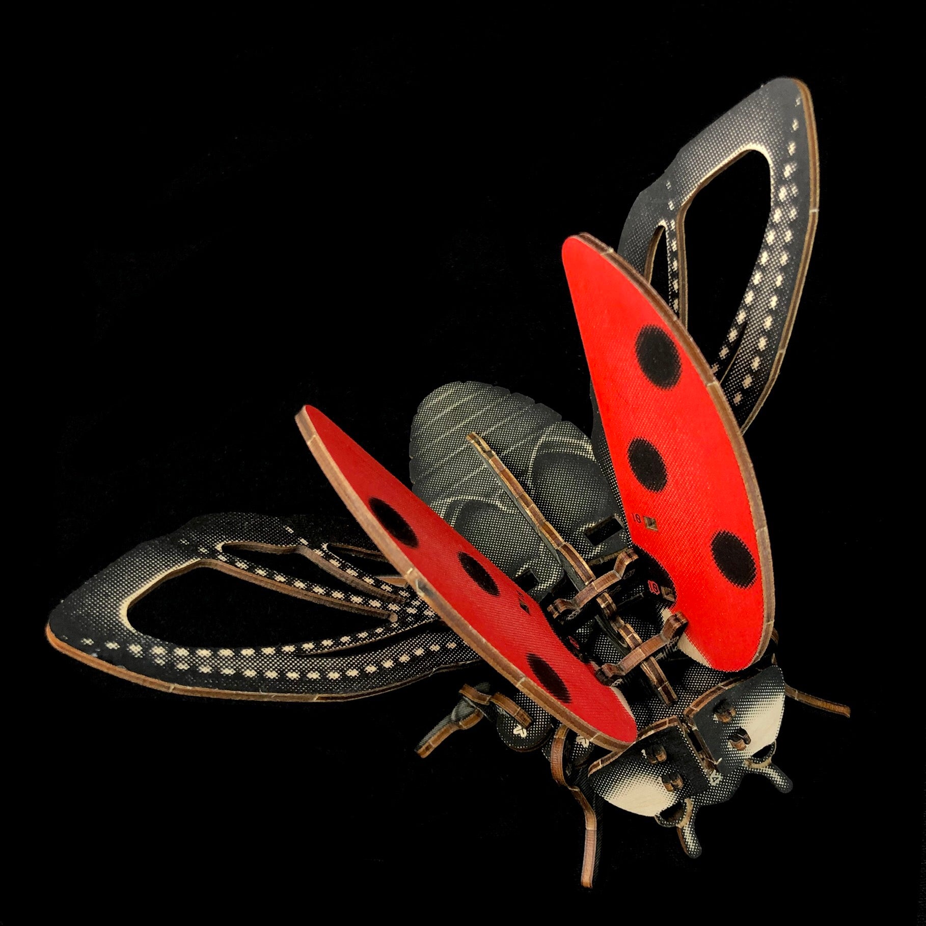 Ladybug Puzzle Model
