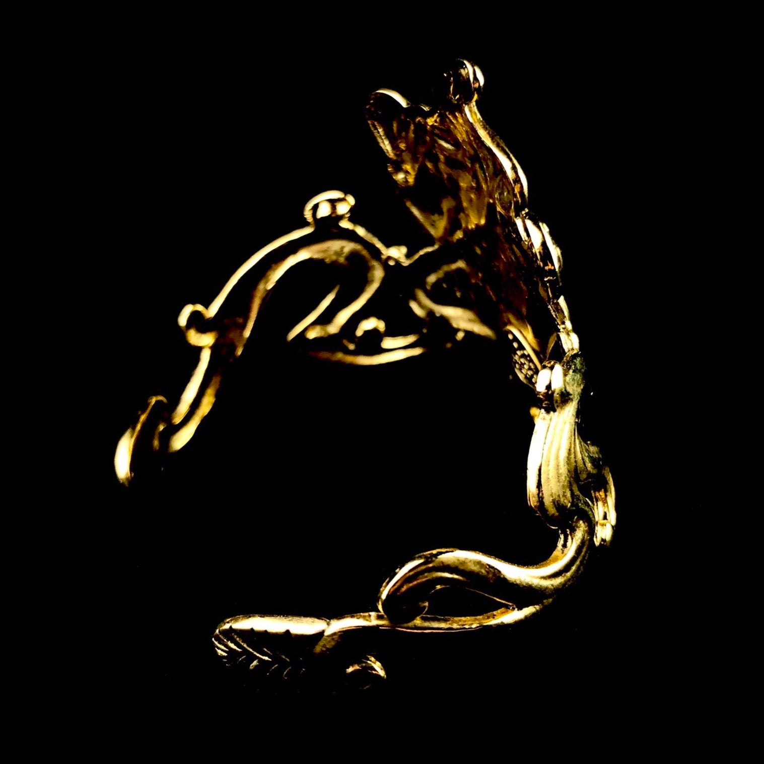 Golden cuff shown from above