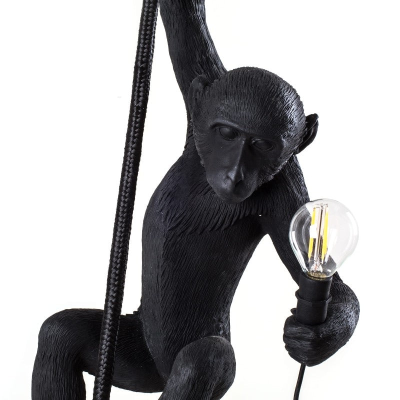 Detail front view of Hanging Monkey Lamp