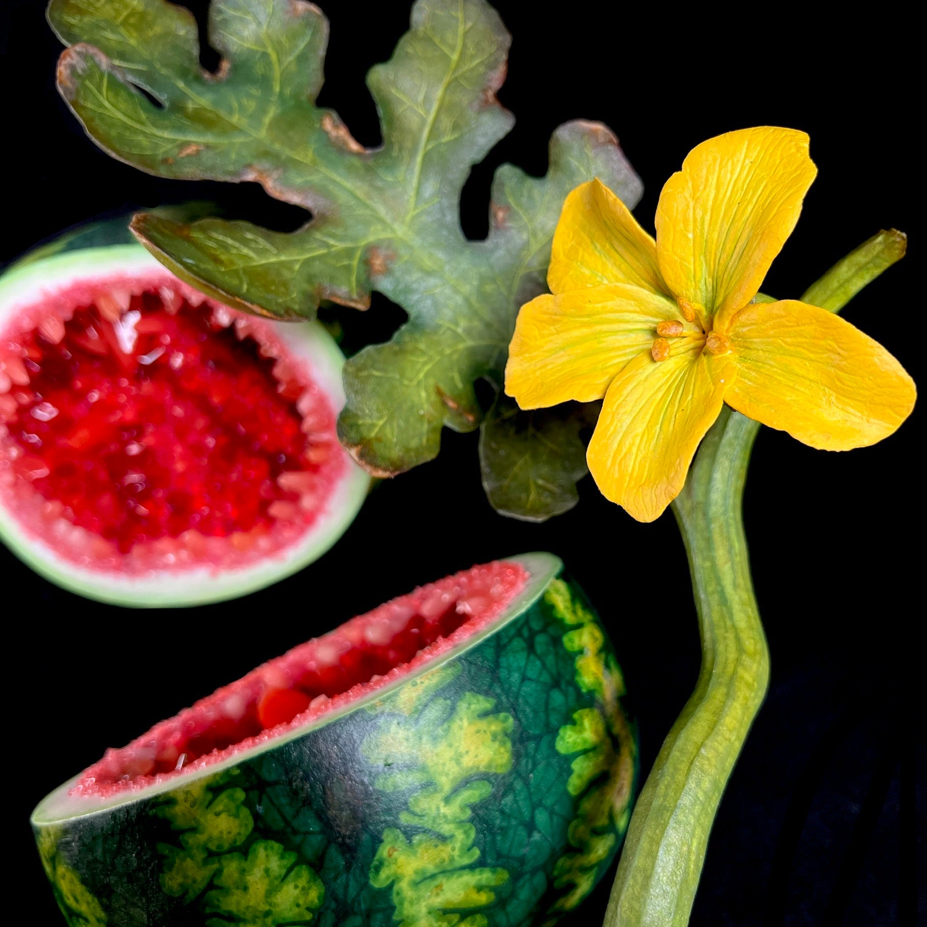 Close up of yellow flower on the vine of the Watermelon Geode Sculpture