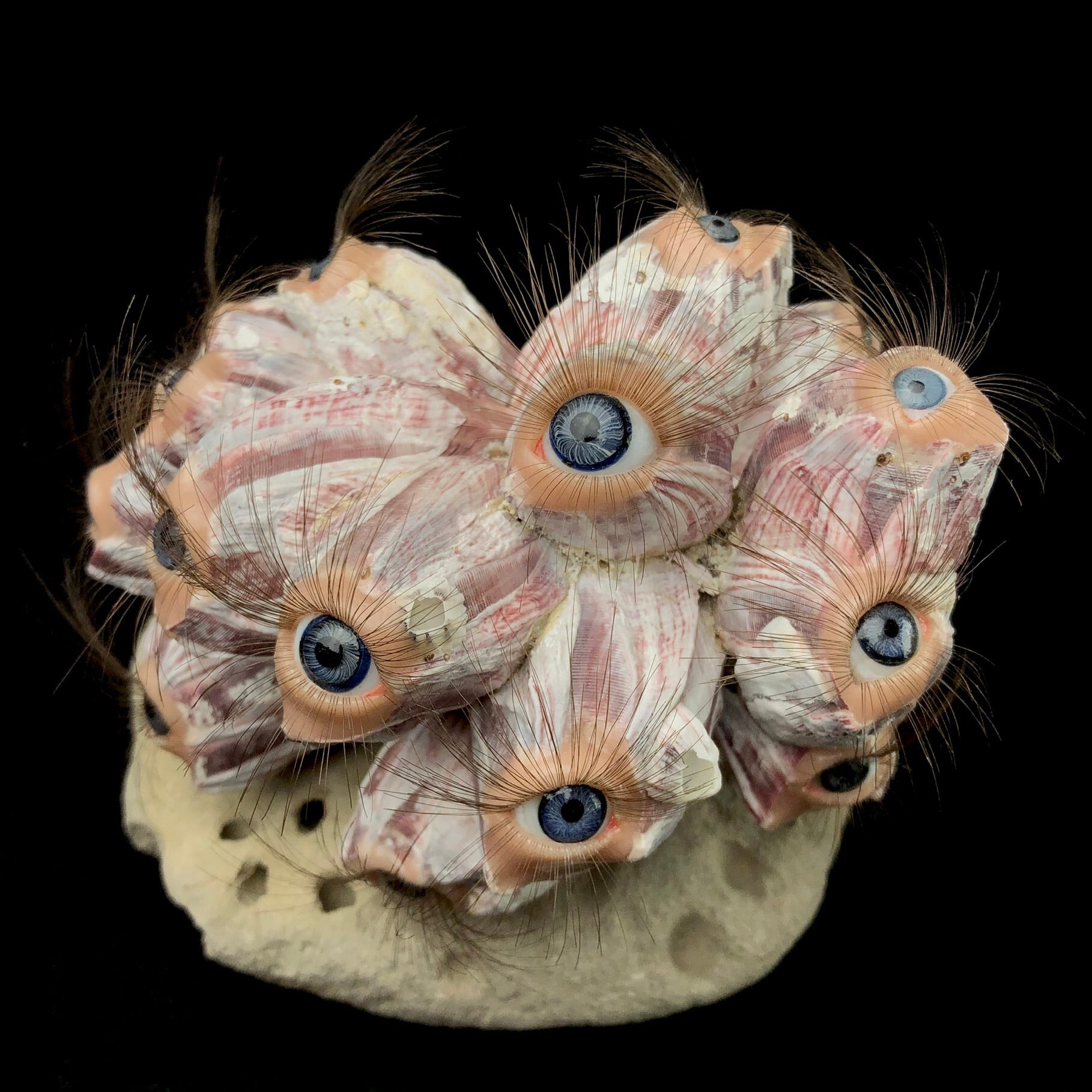 Top view of Curious Barnacle sculpture