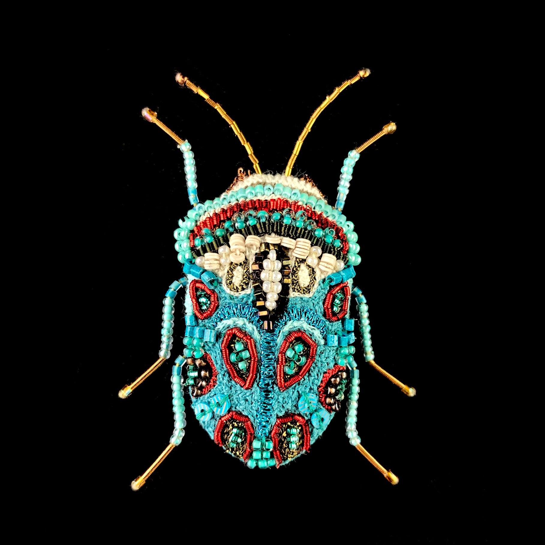 Front view of Picasso Bug Brooch Pin