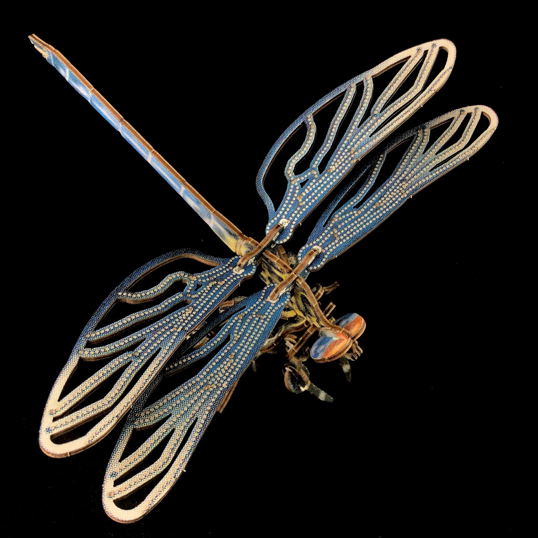 Dragonfly Puzzle Model