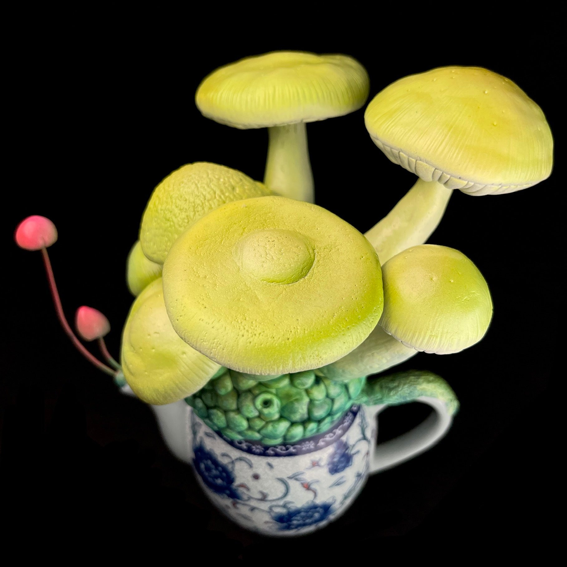 Top view of Mushroom Teapot