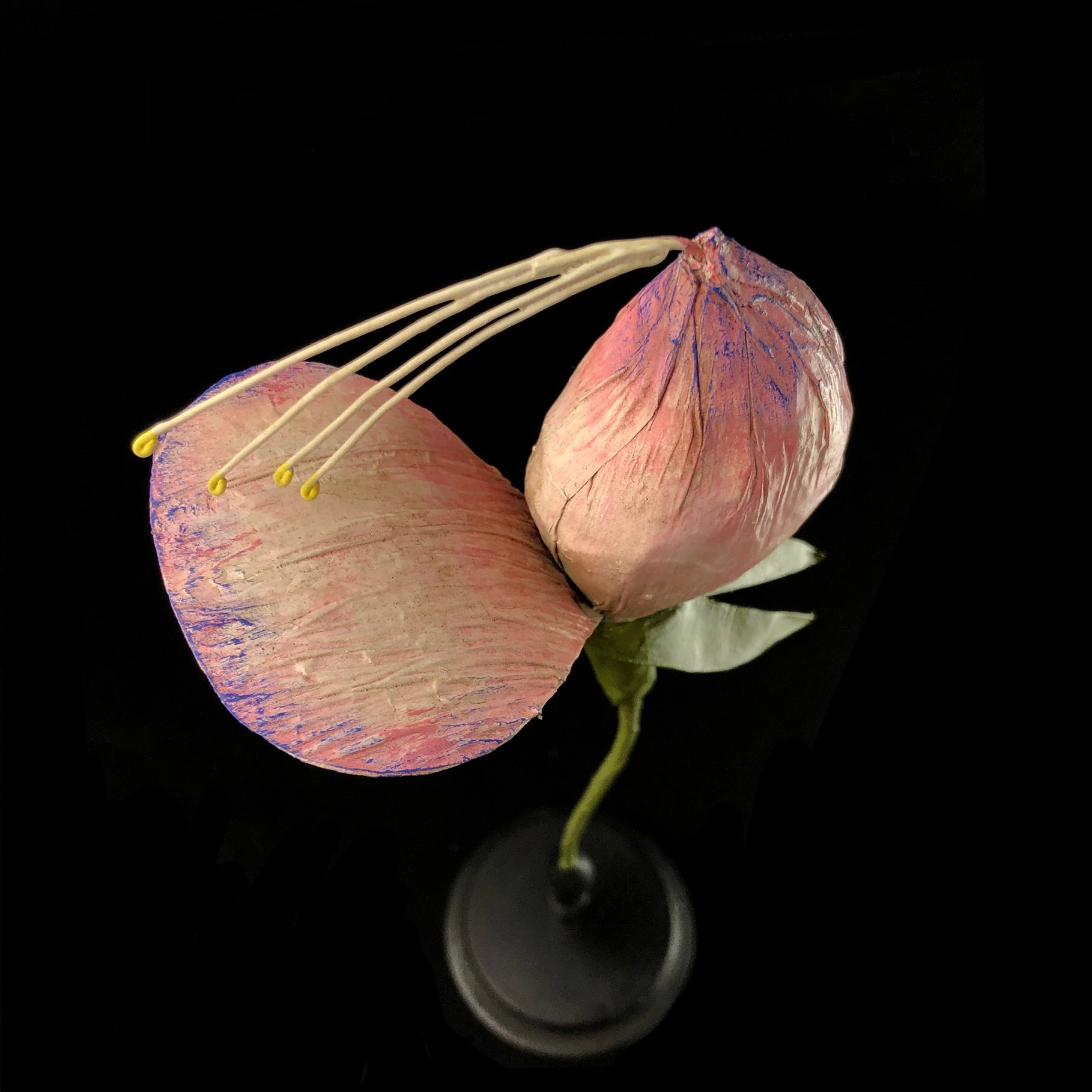 Detail view of Pink Flower Study Model