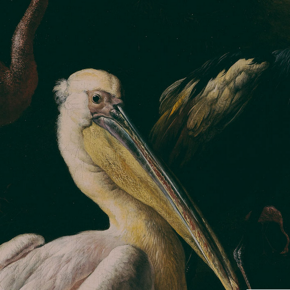 Detail view of pelican head with preserved aging found on the original painting 