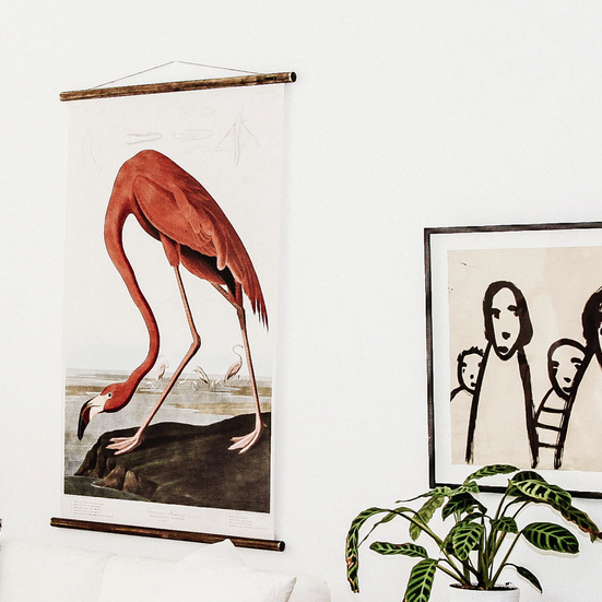 American Flamingo chart hanging on the wall in a living environment