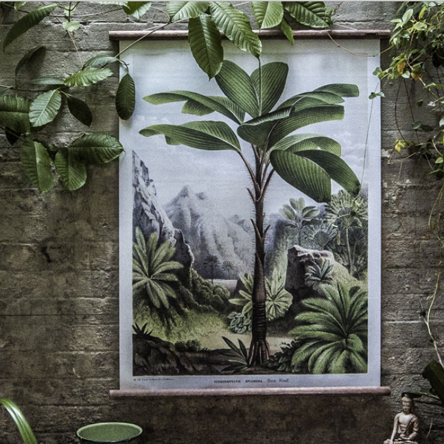Flores chart hanging in naturally lit living environment with plants